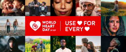 WHD 2023 – CAMPANIA – Organizzazione di volontariato A.VO.SA Odv – Sant’Arsenio